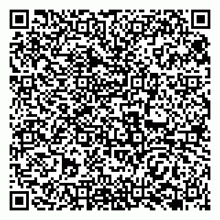 vCard 79138267705