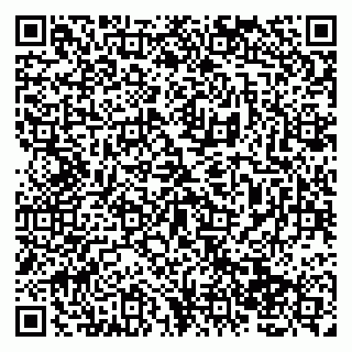 vCard 79138267751