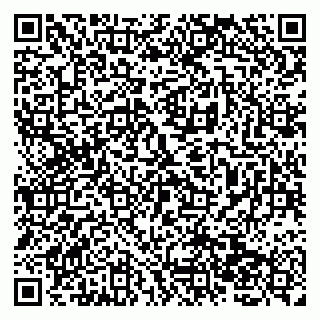 vCard 79138267821