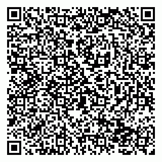 vCard 79138268131