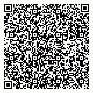 vCard 79138268294