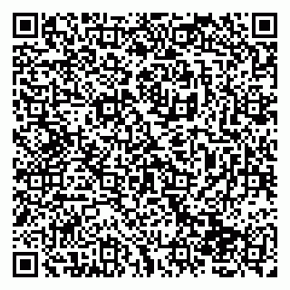 vCard 79138268317