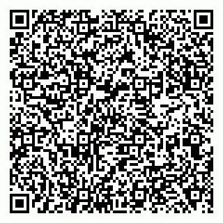 vCard 79138269028