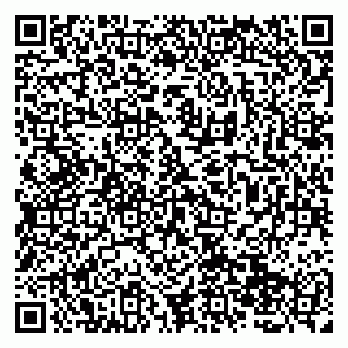 vCard 79138269294