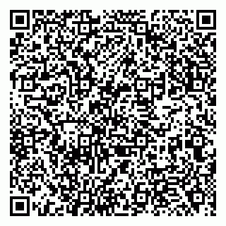 vCard 79138269331