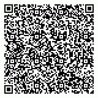 vCard 79138269489