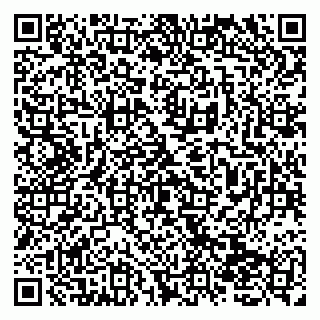 vCard 79138270010