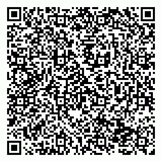 vCard 79138270100