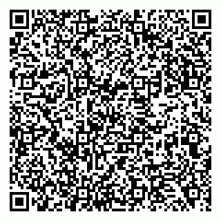 vCard 79138270294