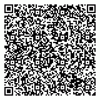 vCard 79138270387