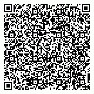vCard 79138270431
