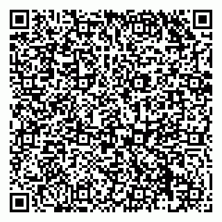 vCard 79138270602