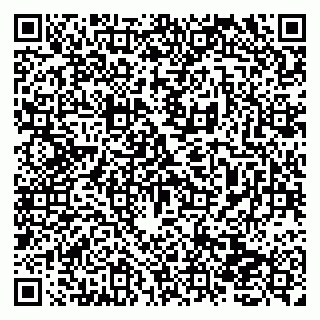 vCard 79138270983
