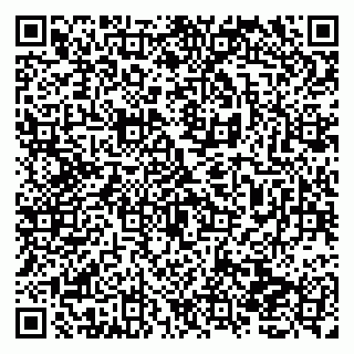 vCard 79138270990