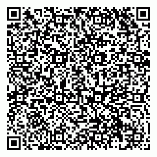 vCard 79138271007