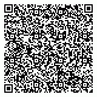vCard 79138271069