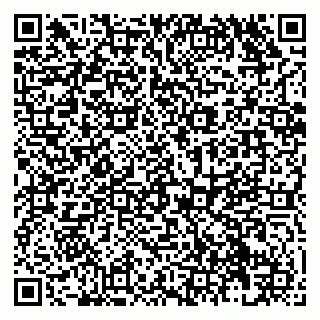vCard 79138272001