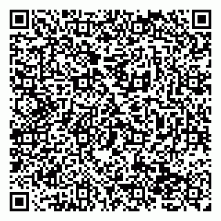 vCard 79138272002