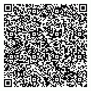 vCard 79138272003