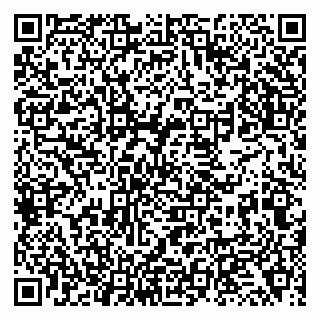 vCard 79138272005