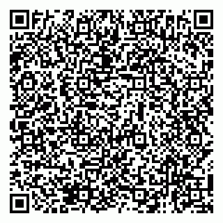 vCard 79138272007