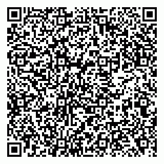 vCard 79138272995