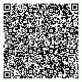 vCard 79138273003