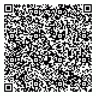 vCard 79138273020