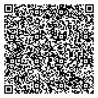 vCard 79138273045