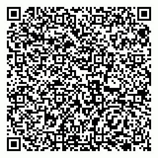 vCard 79138273107