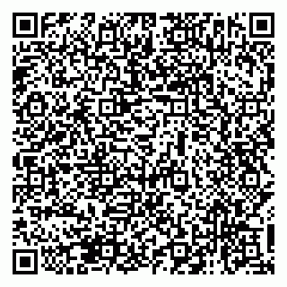 vCard 79138273136