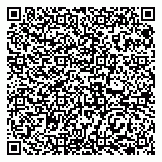 vCard 79138273166
