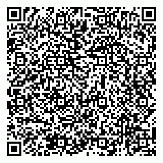 vCard 79138274147