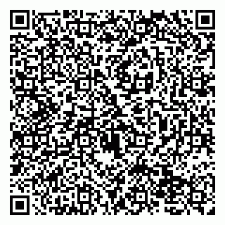 vCard 79138274201