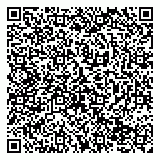 vCard 79138274239