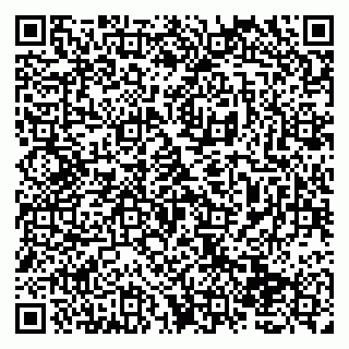 vCard 79138274303