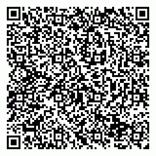 vCard 79138274331