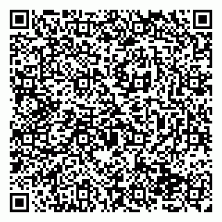 vCard 79138274337