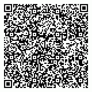 vCard 79138274397