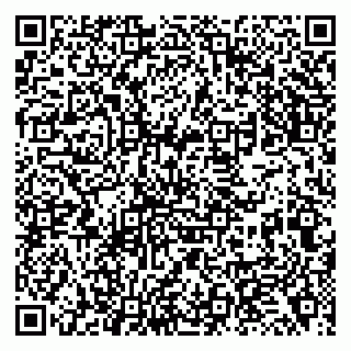 vCard 79138274635