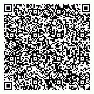 vCard 79138274698