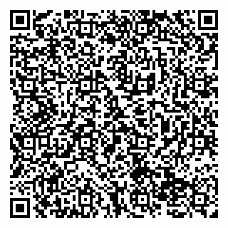 vCard 79138275201