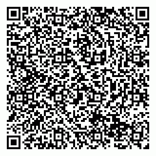 vCard 79138275213