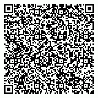 vCard 79138275259