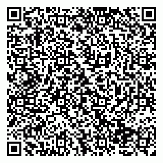 vCard 79138275331