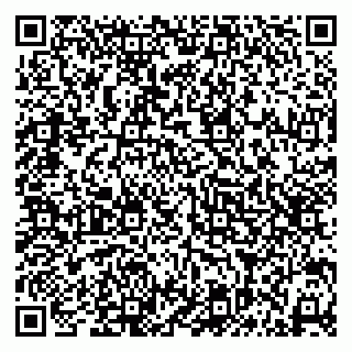 vCard 79138275384