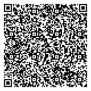 vCard 79138275706