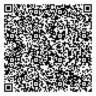 vCard 79138276271