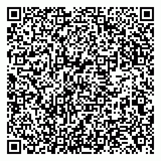 vCard 79138276294