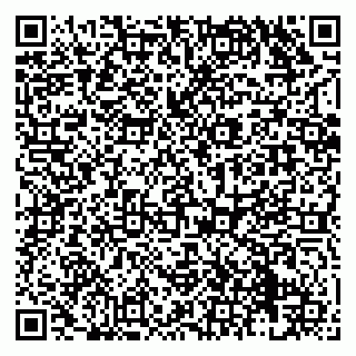 vCard 79138276348